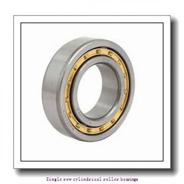 50 mm x 90 mm x 20 mm  NTN NUP210U Single row cylindrical roller bearings