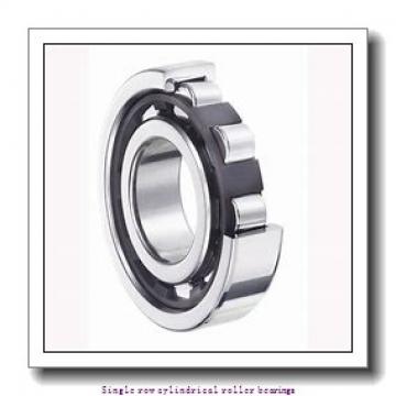70 mm x 125 mm x 24 mm  NTN NUP214EG1 Single row cylindrical roller bearings