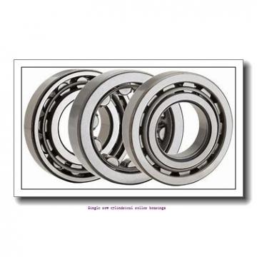85 mm x 150 mm x 28 mm  NTN NUP217U Single row cylindrical roller bearings