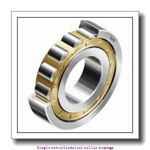 25 mm x 62 mm x 17 mm  NTN NUP305EX1T2XC3U Single row cylindrical roller bearings #1 image
