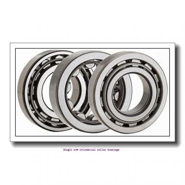 50 mm x 110 mm x 27 mm  NTN NUP310EG1WC3U Single row cylindrical roller bearings #1 image